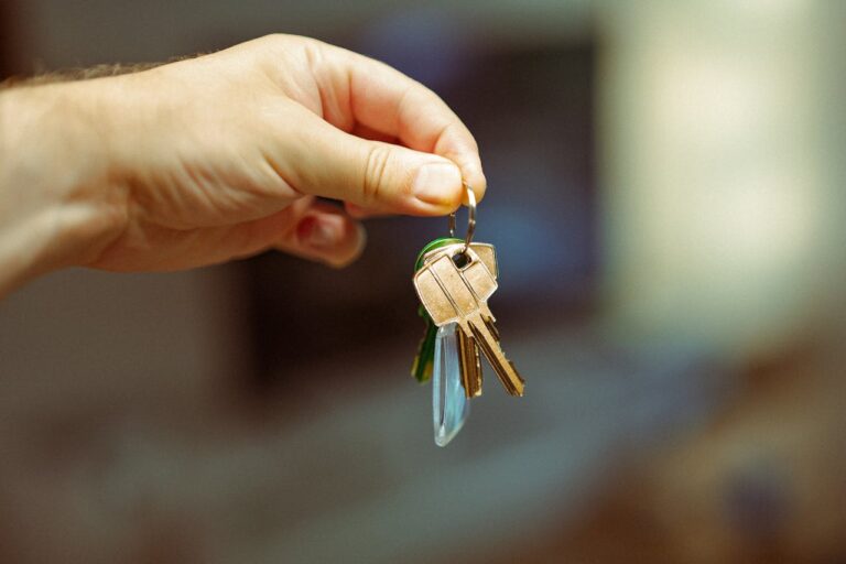 Our Services 6 pexels-photo-27522902-27522902.jpg